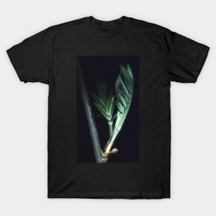 New leaf. T-Shirt